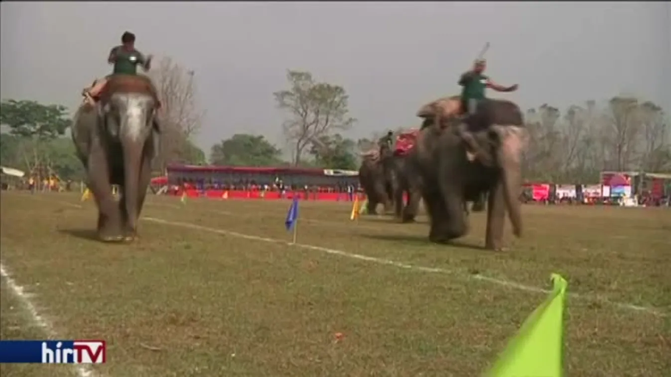 Elefántok szépségversenye Nepálban