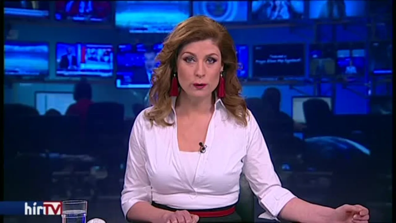 Köztársasági elnök maradhat Áder János