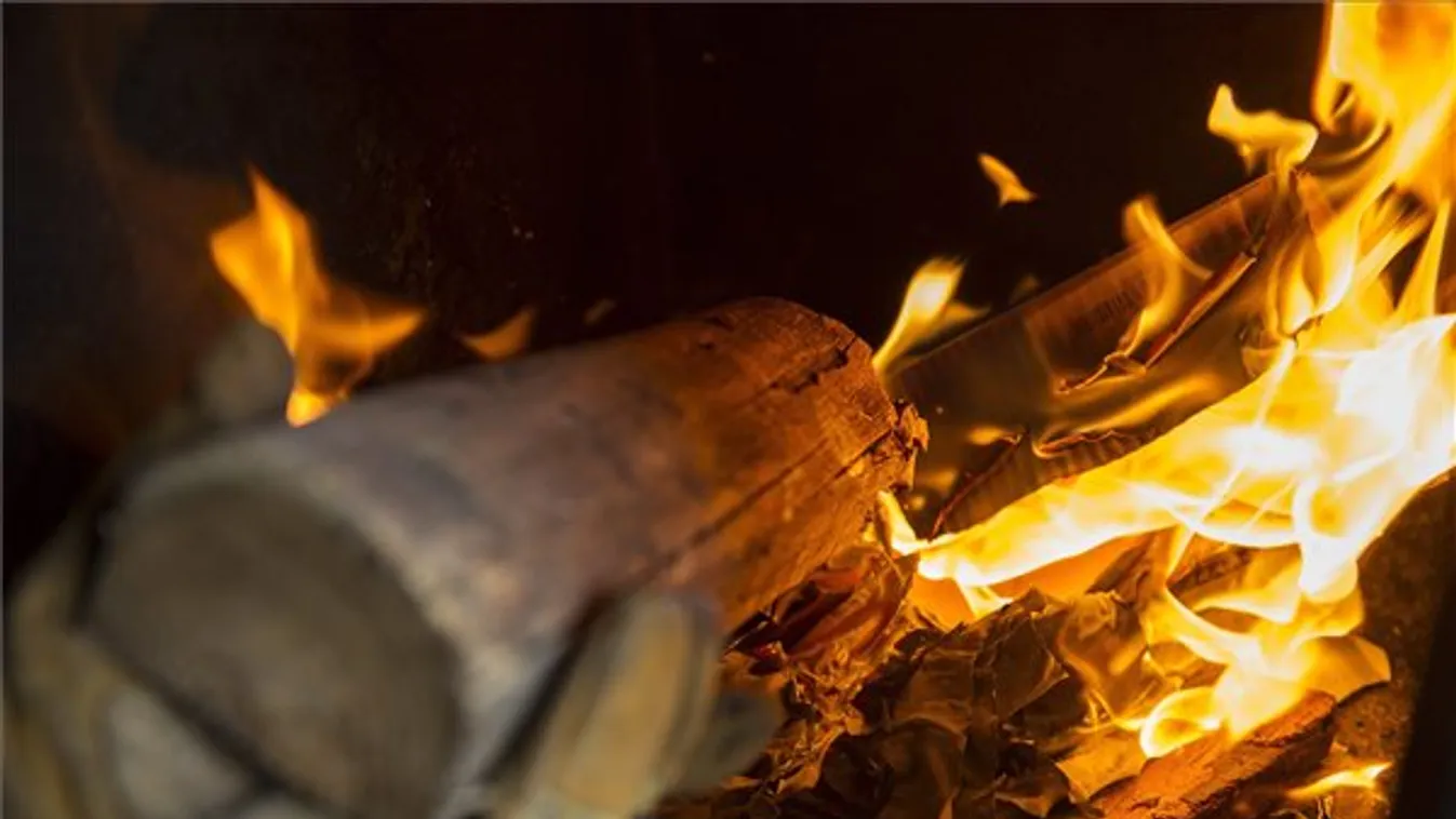 Milliárdos kárt okoz a tűzifalopás