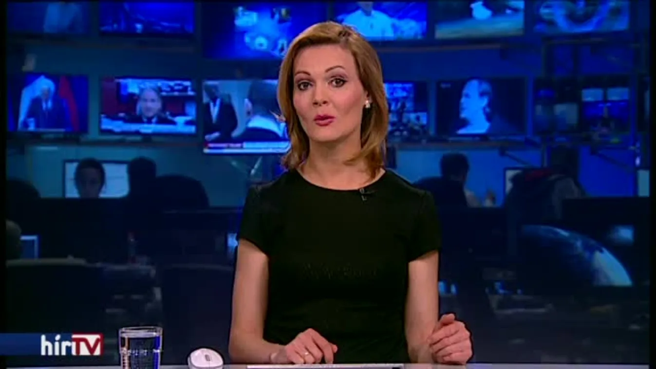 Vörösiszap: az elsőrendű vádlott védője a hatóságok felelősségét firtatja