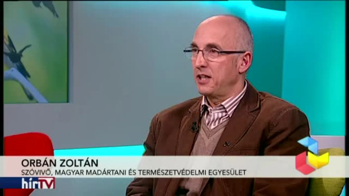 Reggeli járat – A tengelic lett a 2017-es év madara