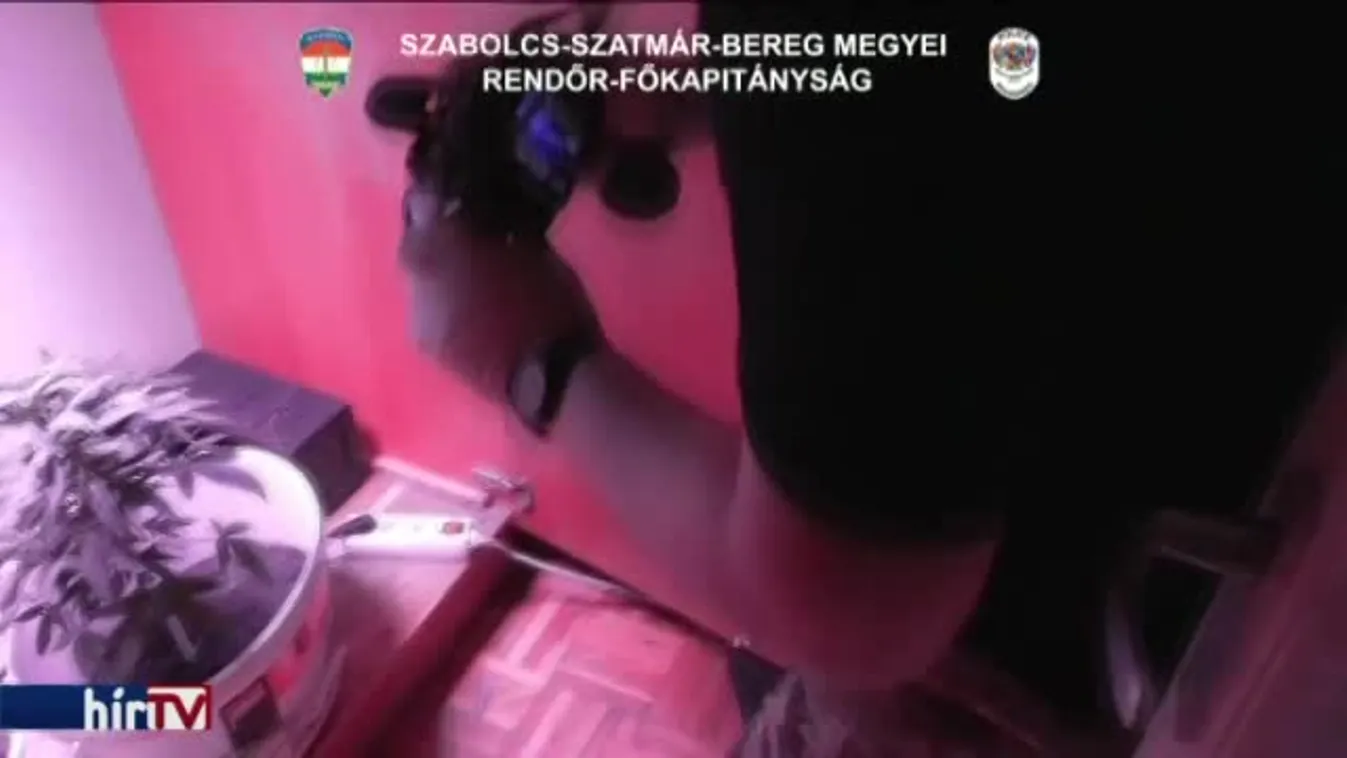 Cannabist nevelgetett a szekrényben