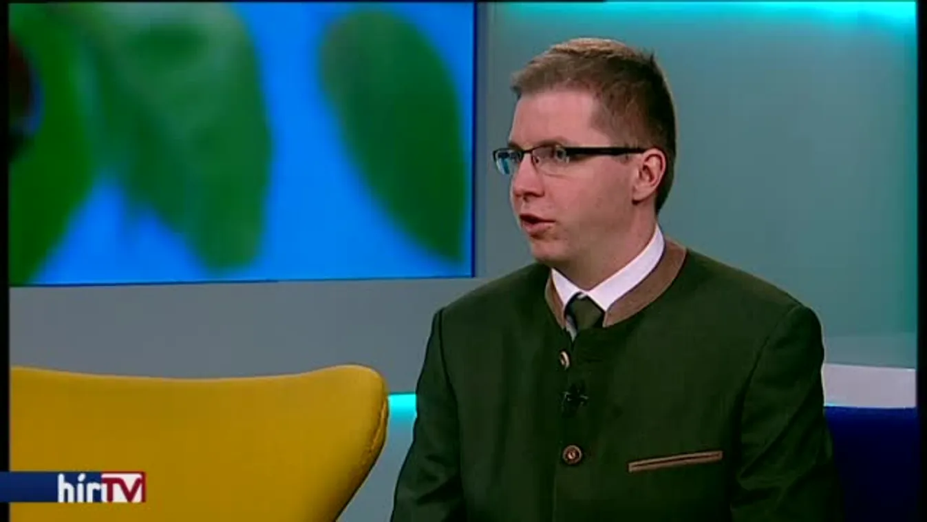 Reggeli járat – Megismerkedtünk az év fájával