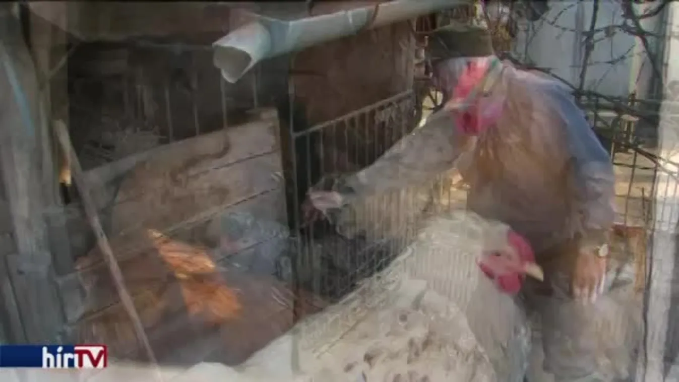 Háromezer ember sorsa a tét - szükség van az államra