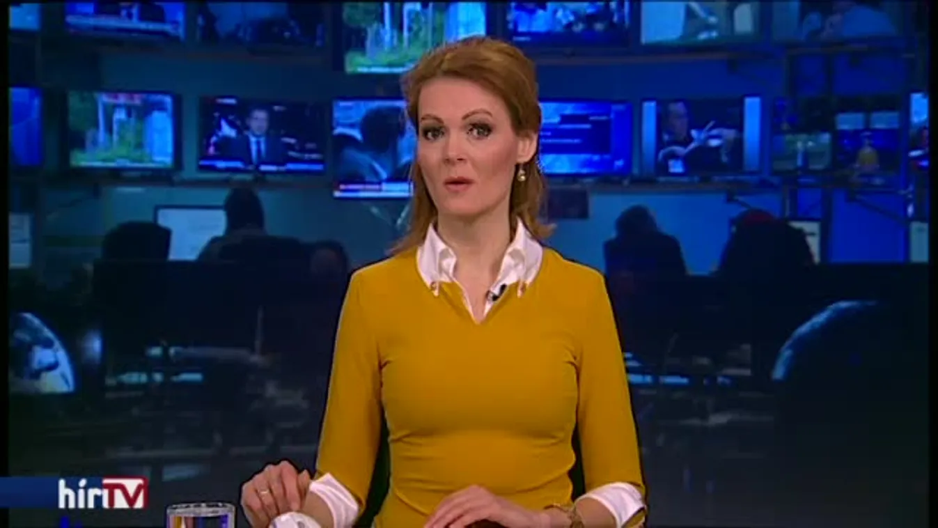 Elege lett a brit uniós nagykövetnek, és lemondott