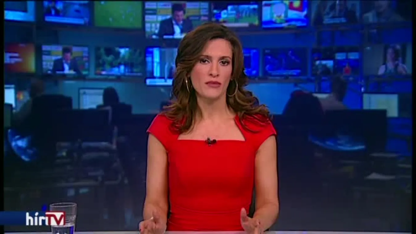 Tűzifát vágott magának, elkapták