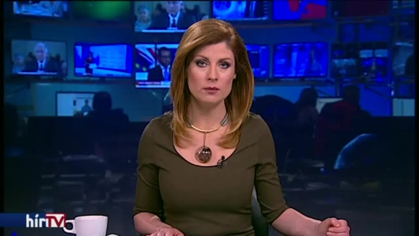 Szinte egyedüli ellenzékiként indul Szentendrén az LMP