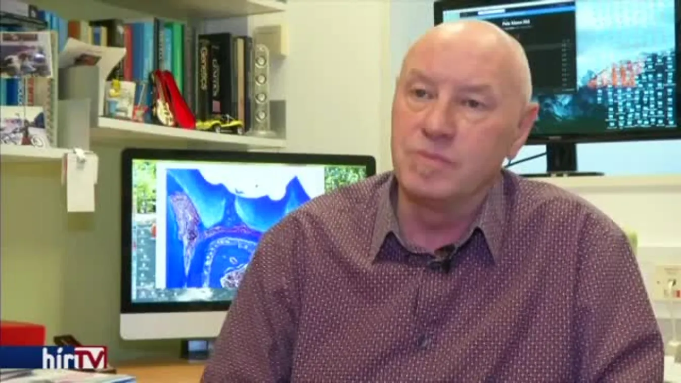 Fogtömések helyett