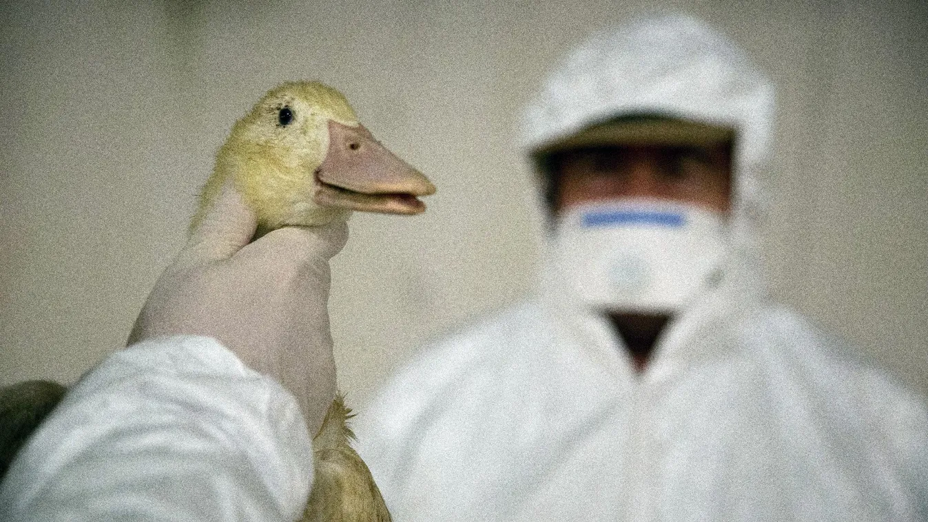 Háromezer ember sorsa a tét – szükség van az államra