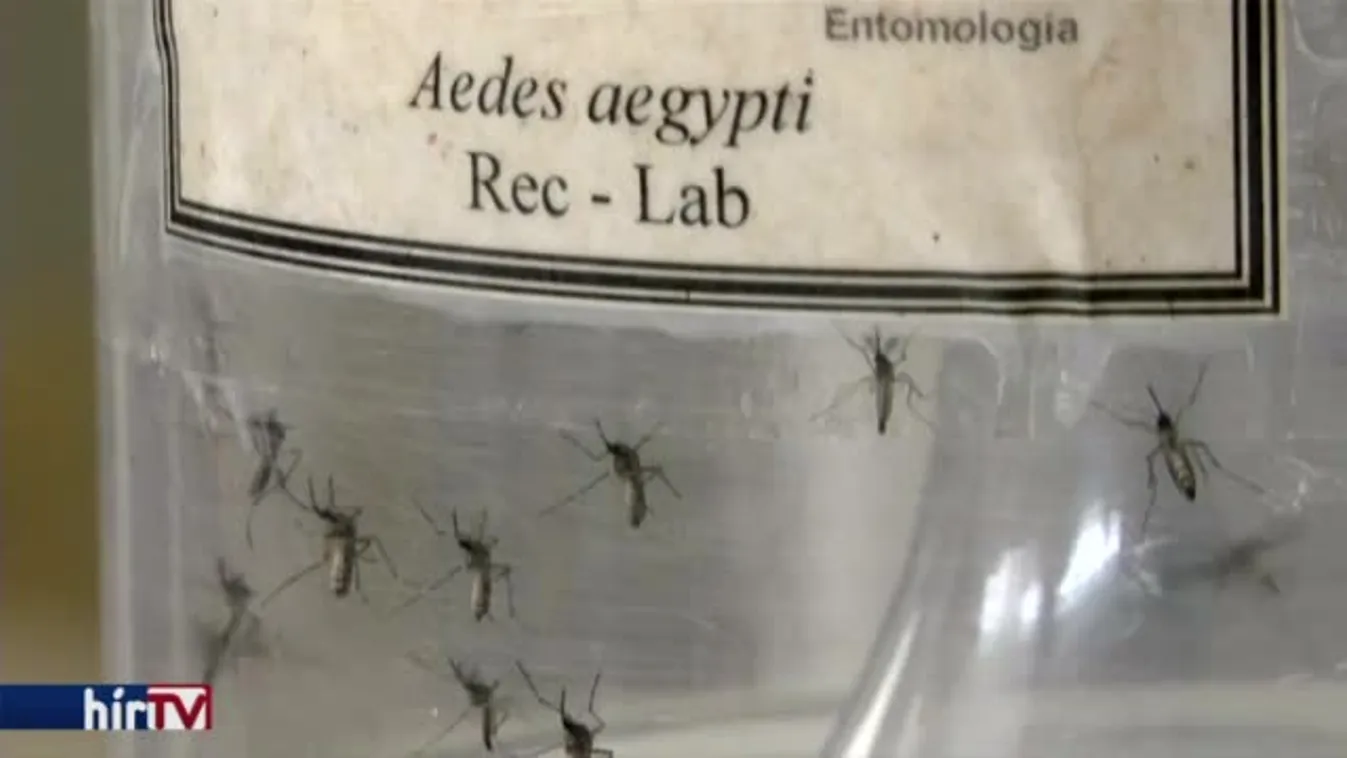 Hírvilág – Ilyen volt 2016