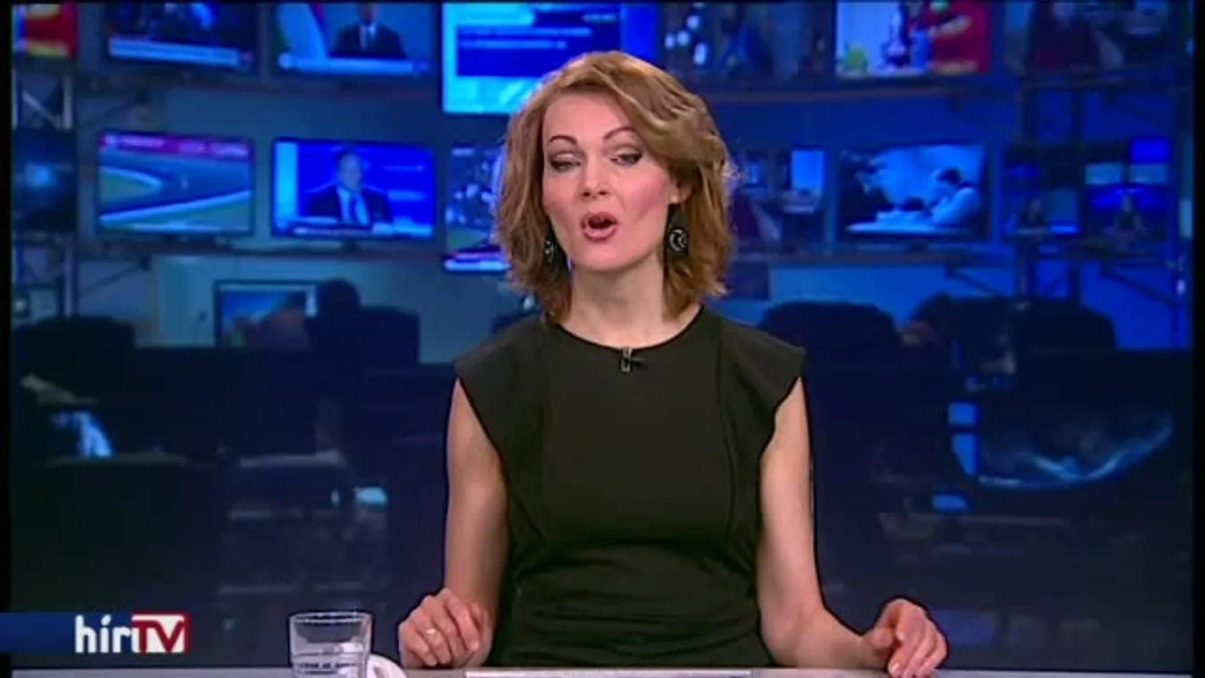 Ungváry: Az ügynökaktákról is lehetne népszavazni