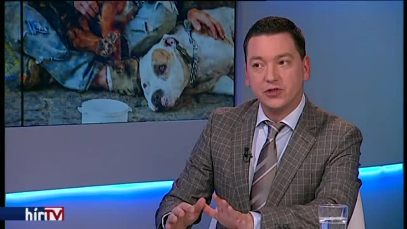 Magyarország élőben – Az evangélikus lelkész, aki felveszi a kesztyűt Kocsis Mátéval