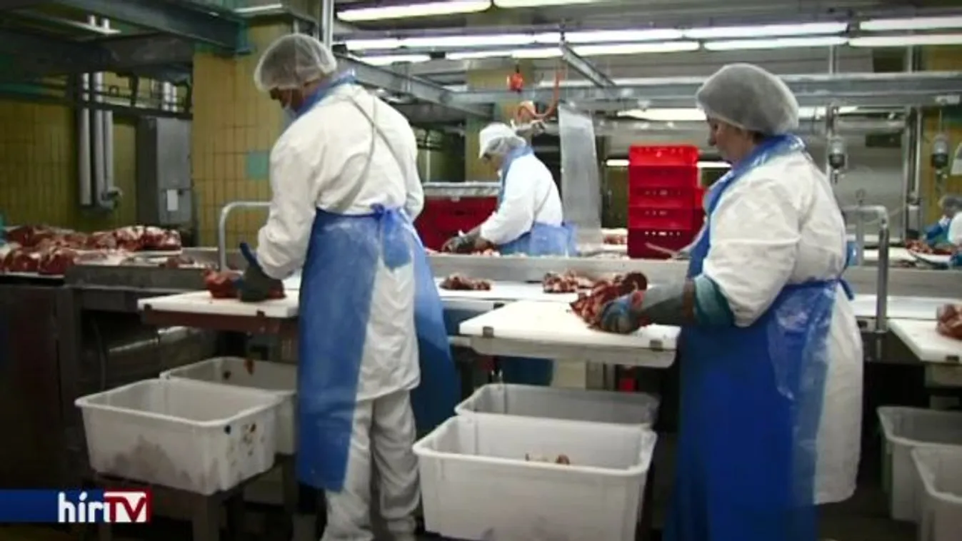 Több nap, mint kolbász