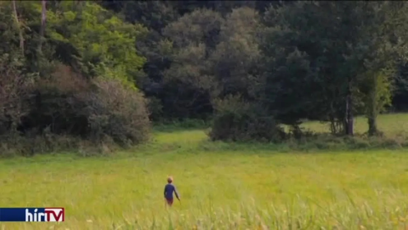 Reggeli járat - Rengeteg