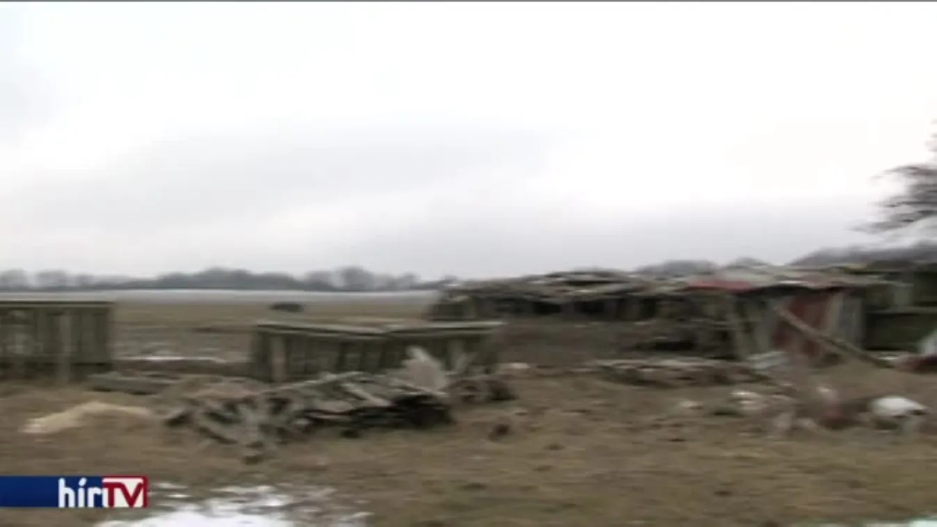 Disznótetemek, csontsovány tehenek: eljárás folyik a gazda ellen