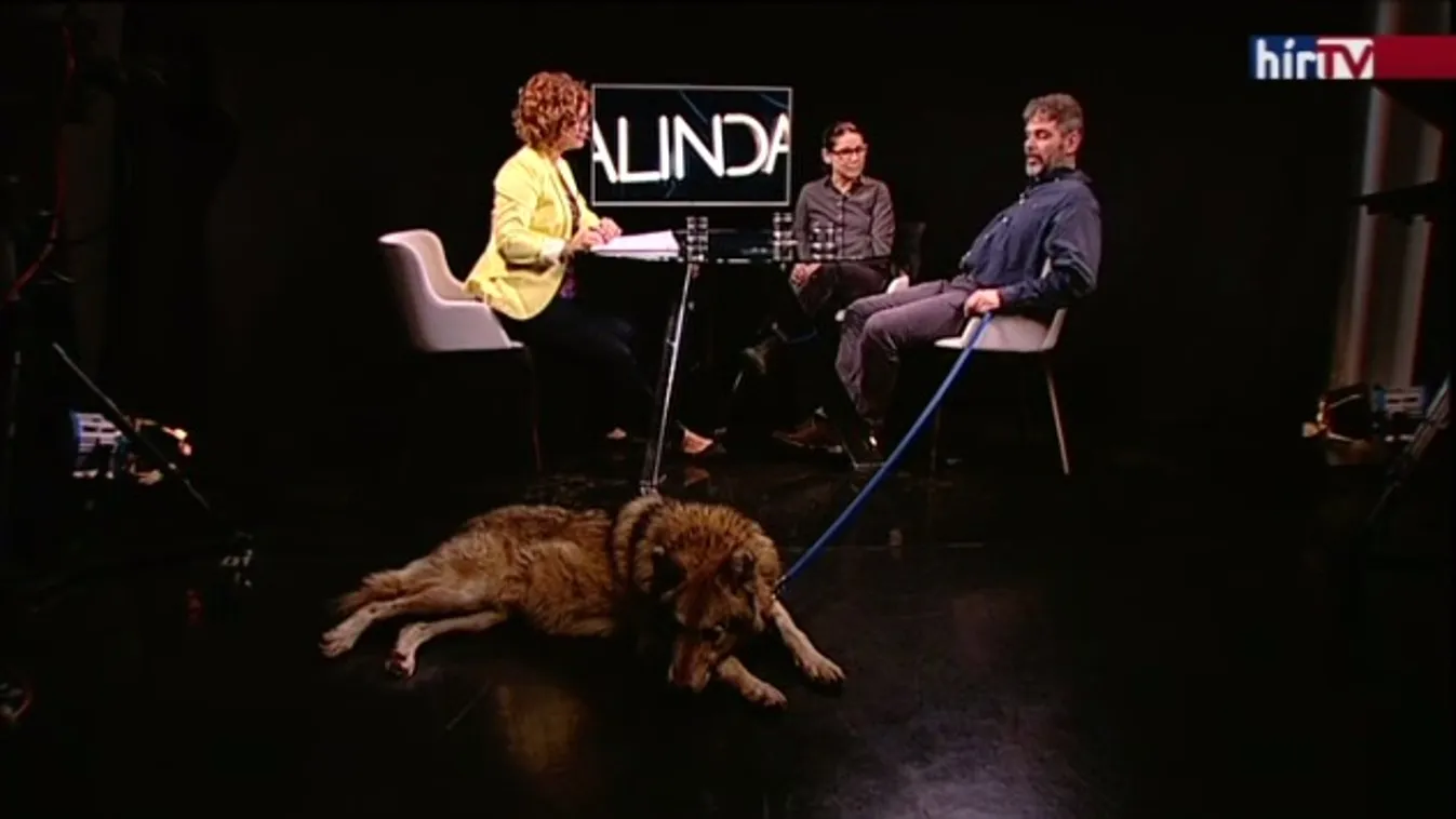 Enyedi Ildikó és Horkai Zoltán