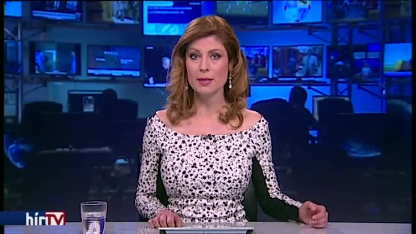 Dominikai származású elnöke lett a demokratáknak