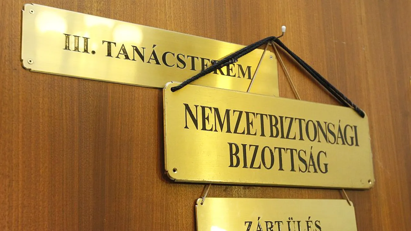 Vízumbotrány – Magyarország élőben