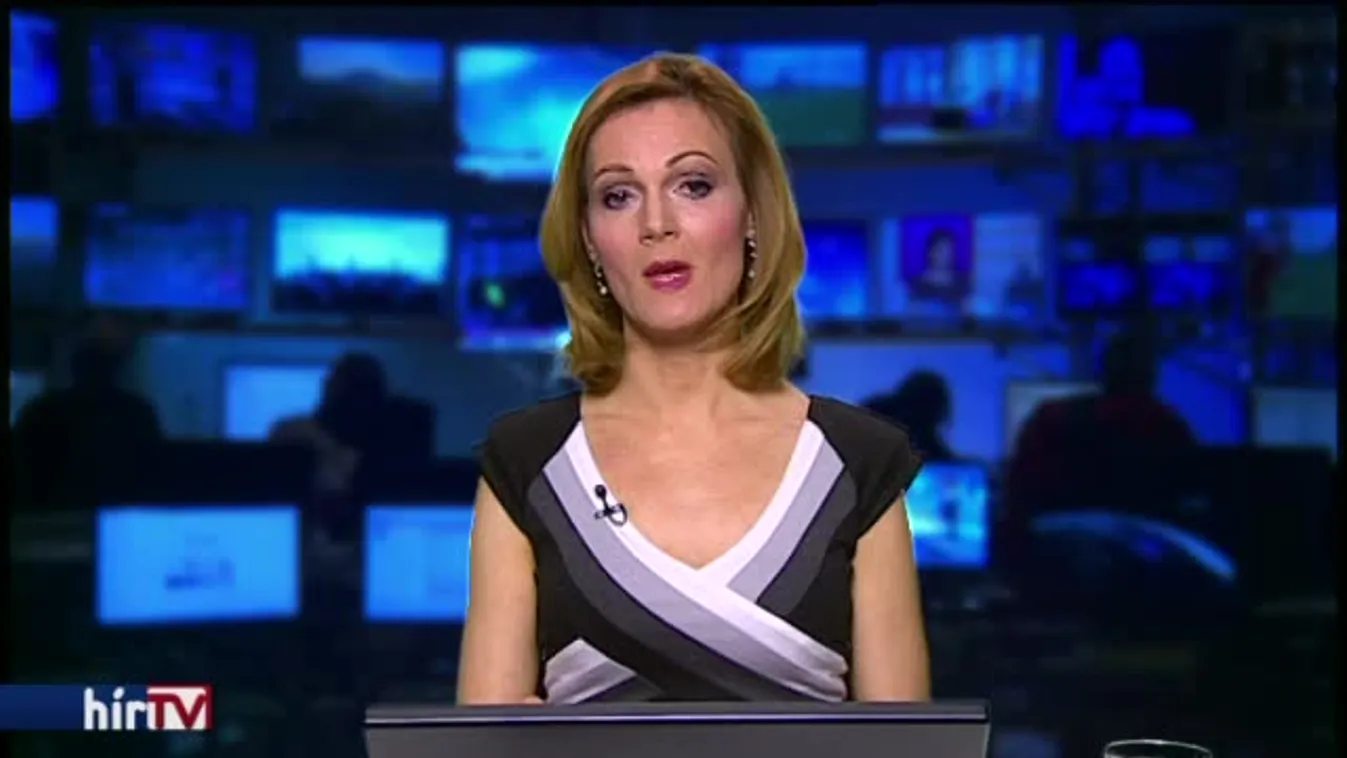 A NAV elnökének zsebét adótanácsadó cégek is tömik