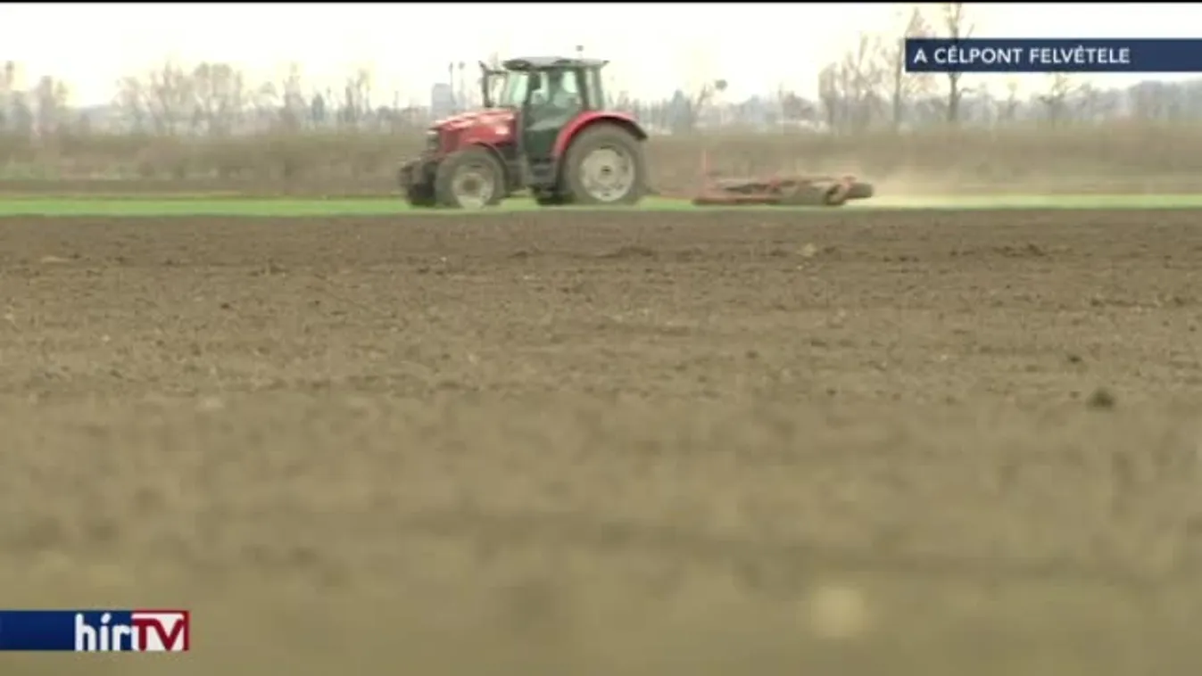 Egymillió forintjára vár 1 éve, pert nyert a gazda az NFA ellen