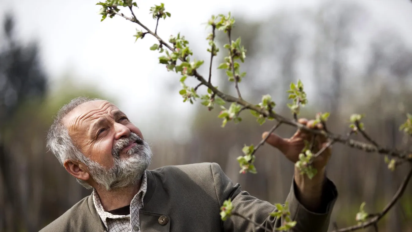 A magyar pálinka világhírű lehetne, ha…