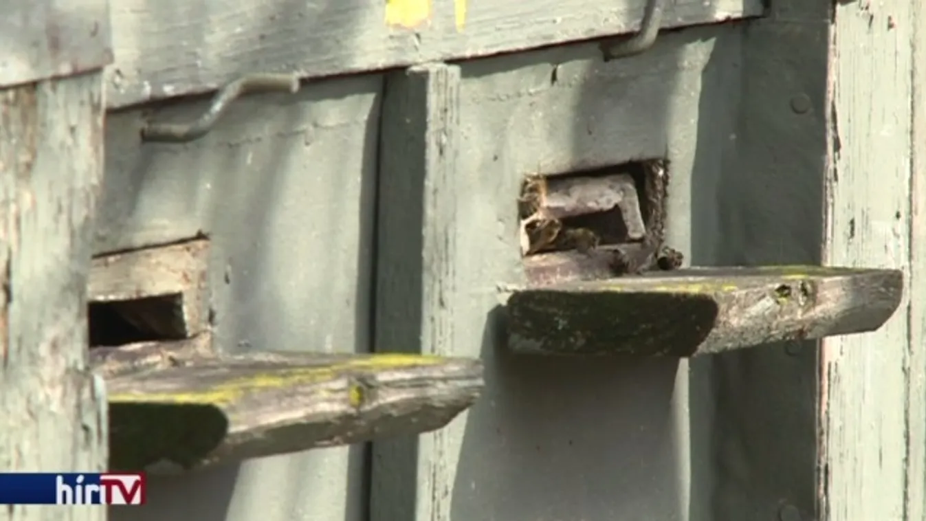 Tisztító repülések