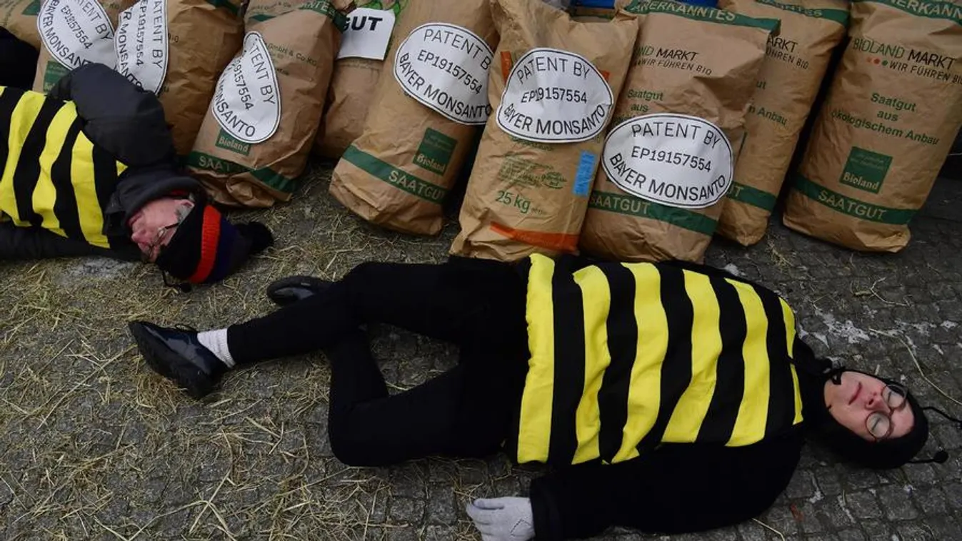 A Monsanto áll nyerésre a földügyben