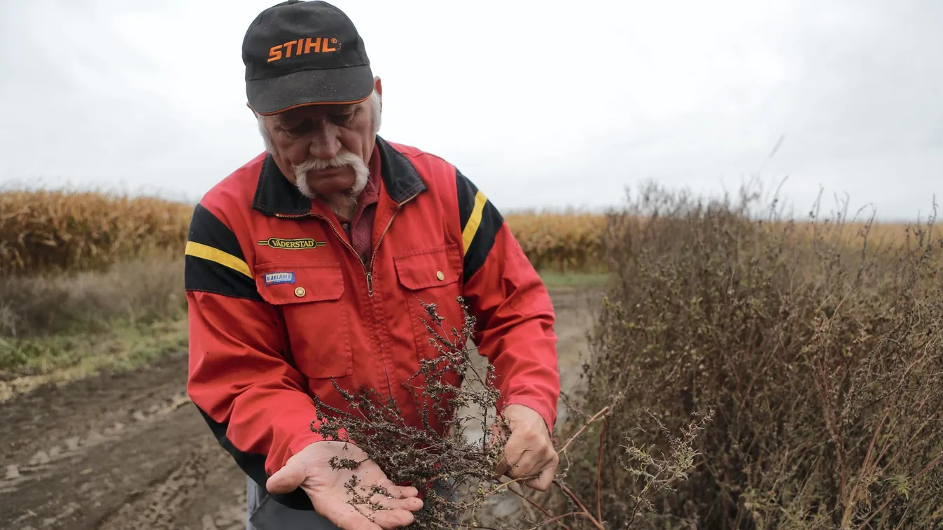 Megint vesztett Kishantos