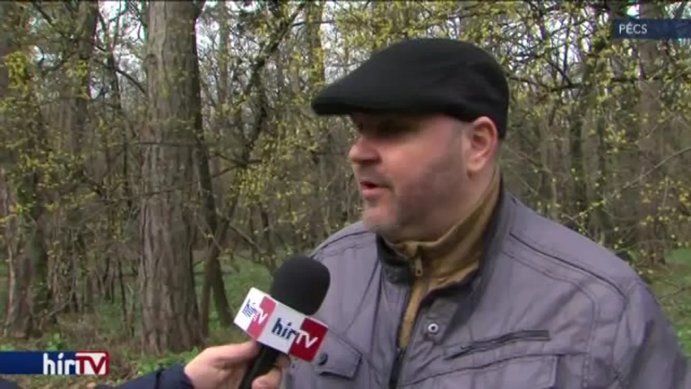 Indul a medvehagymaszezon!