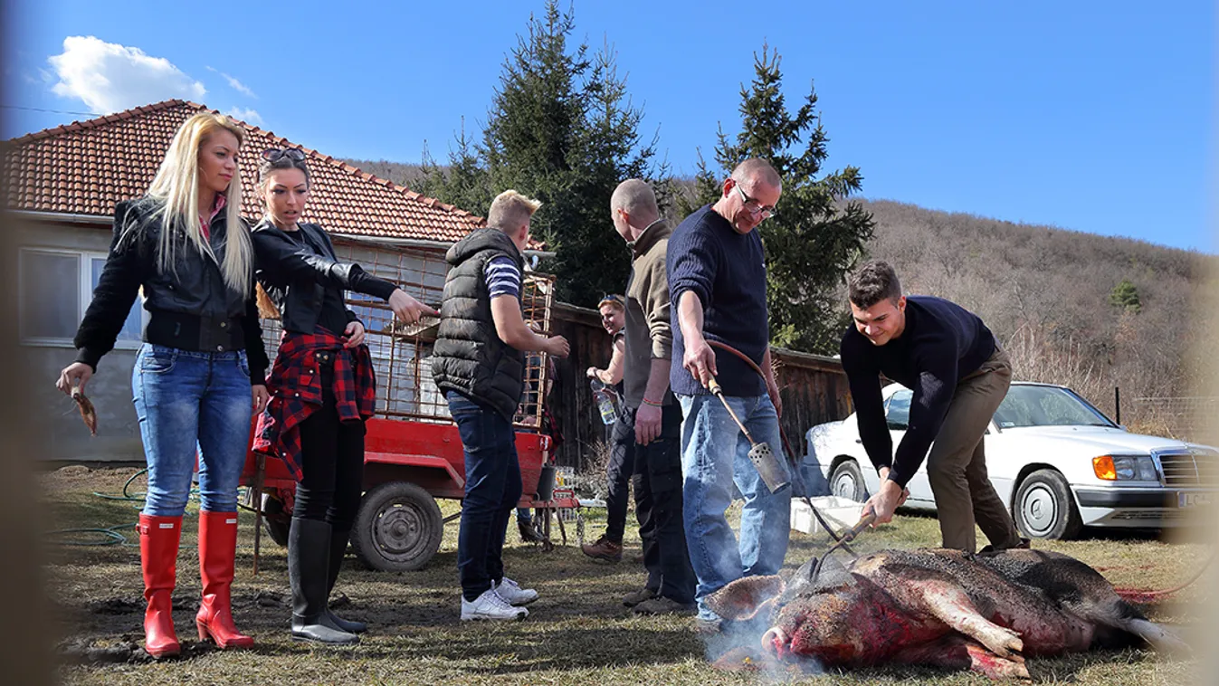 Egy utolsó Pumpedék