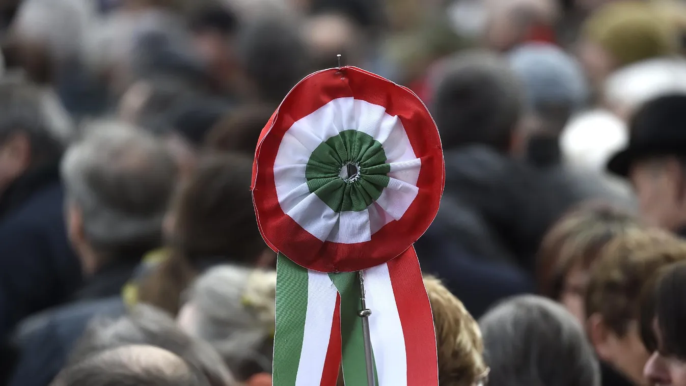 Füttykoncert – Newsroom