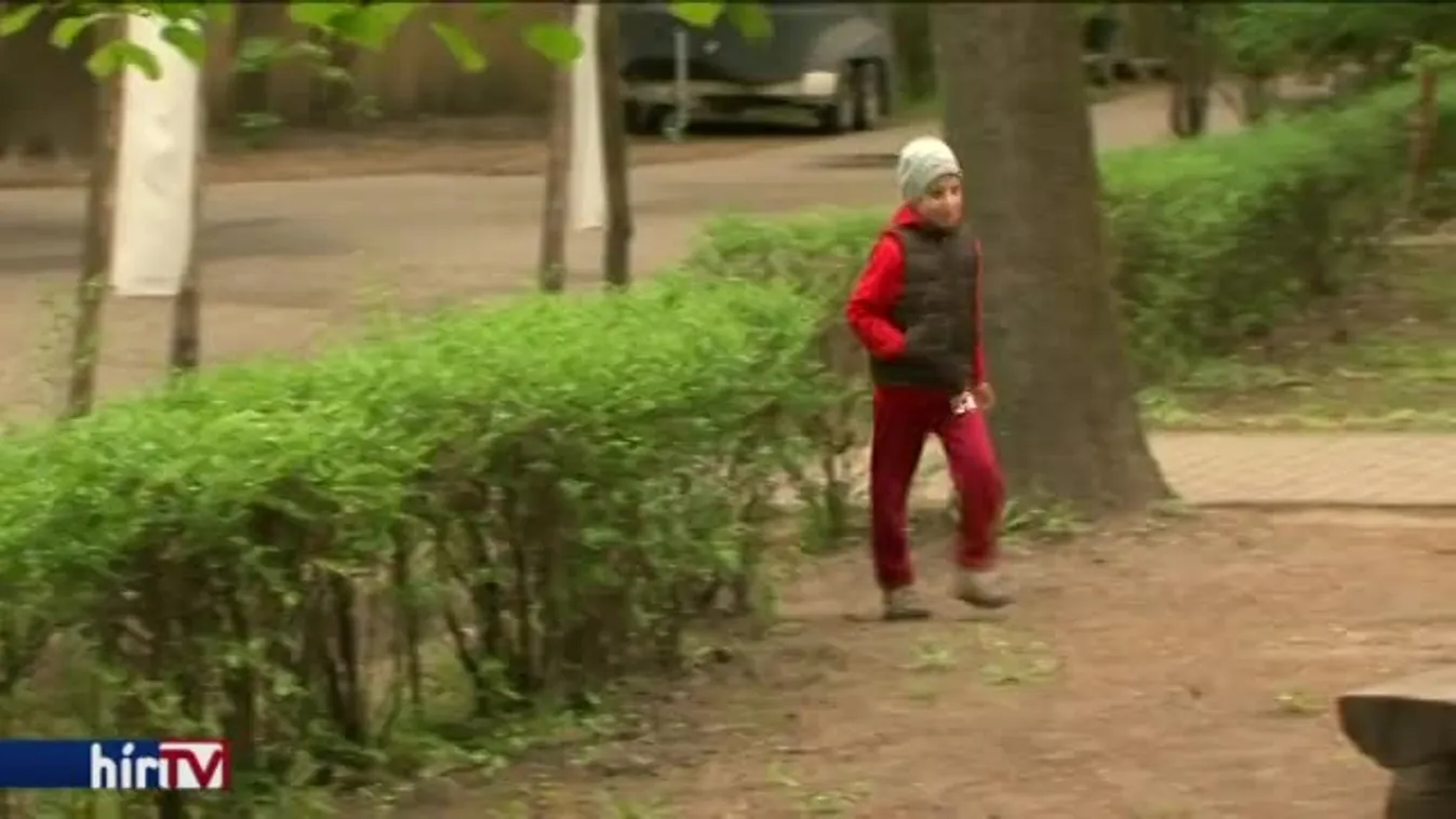 Különleges tojásvadászatra várták a kicsiket