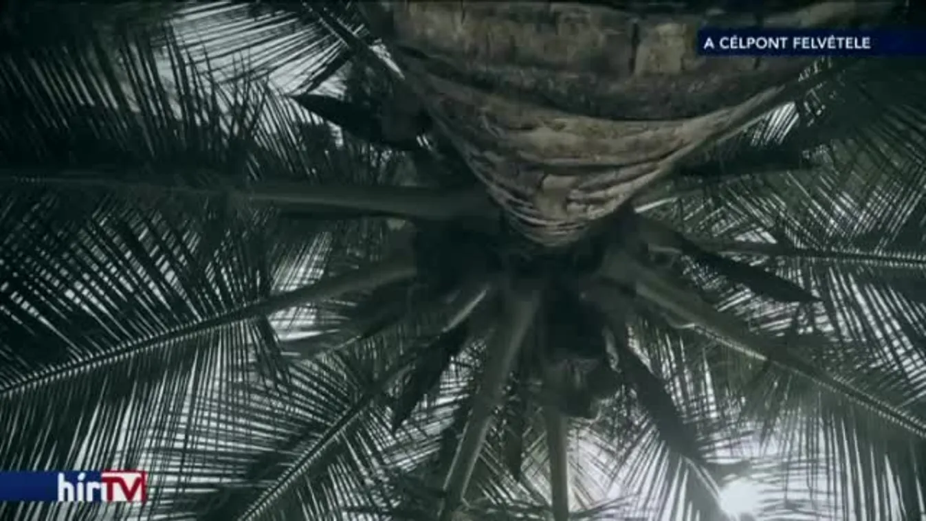 „Ha van rá politikai szándék, a gazemberek információt lehet szerezni”