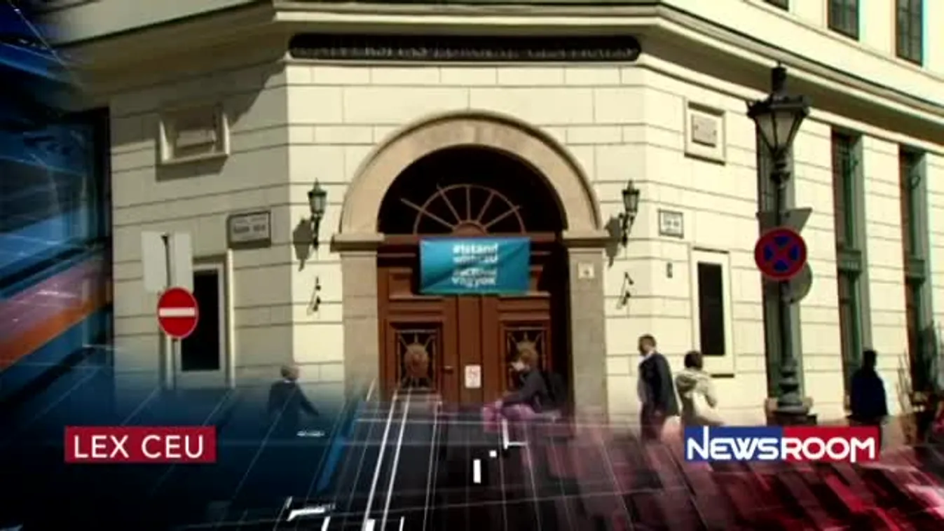 Áder a rengetegben - Newsroom