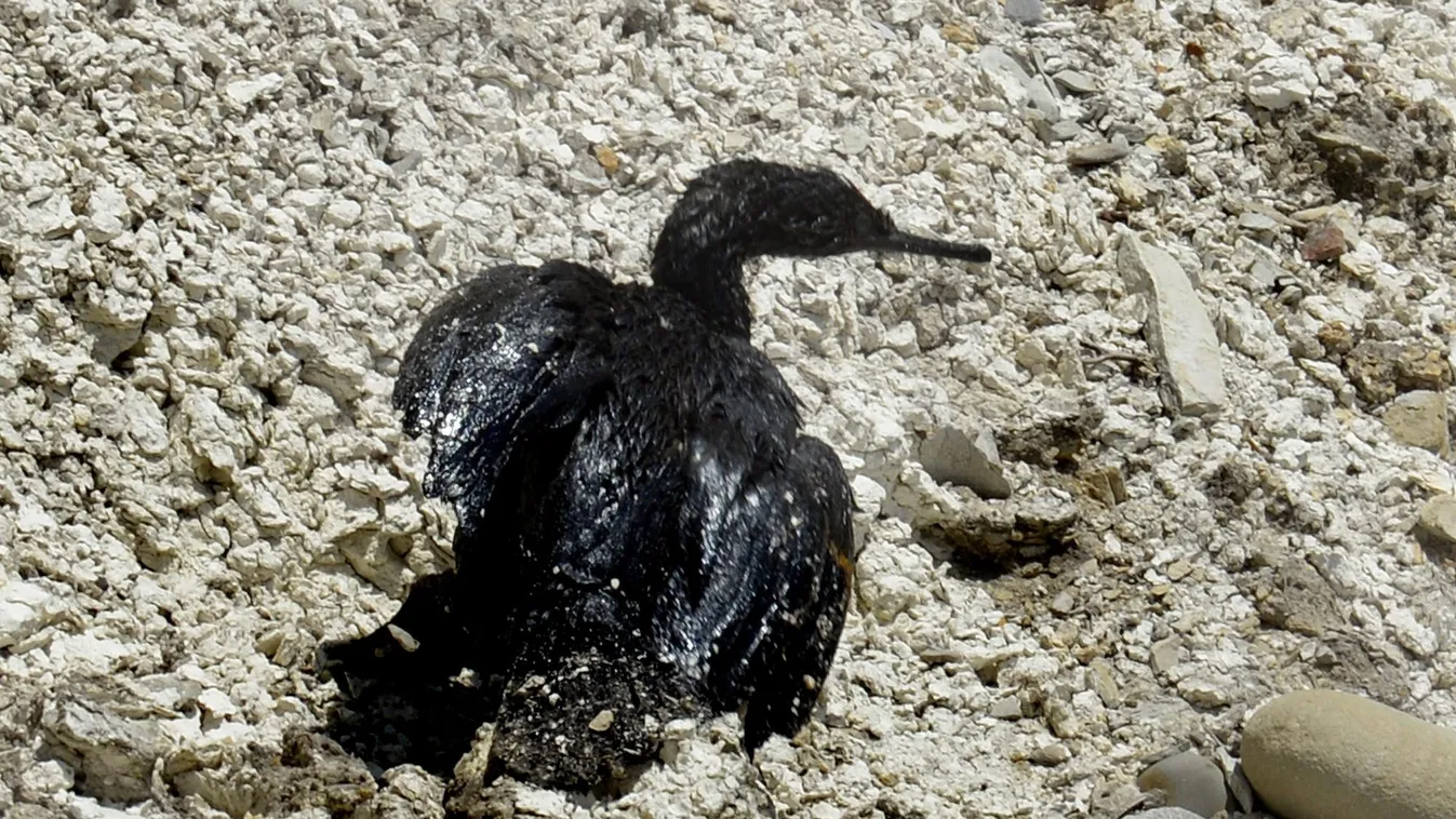 Túl a XX. századon