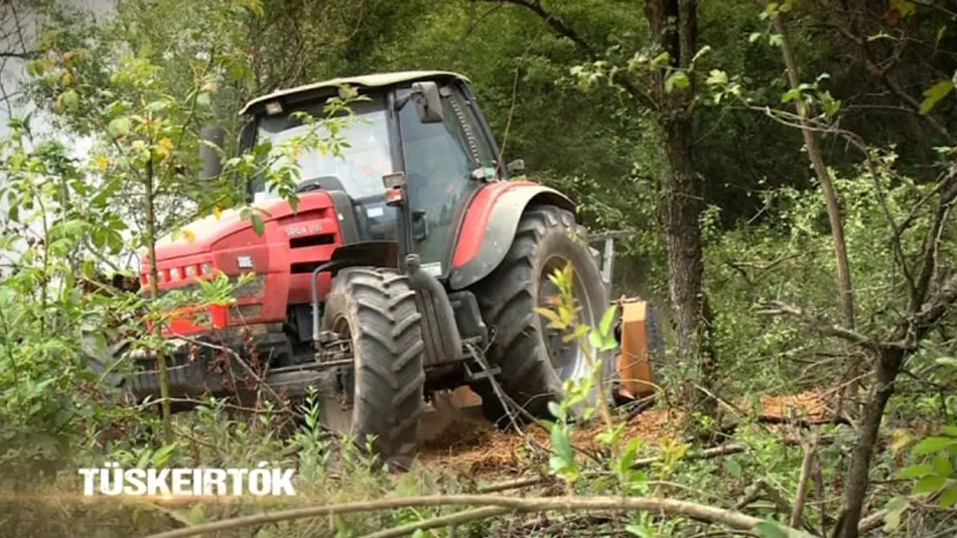 Tüskeirtók – Vetítő