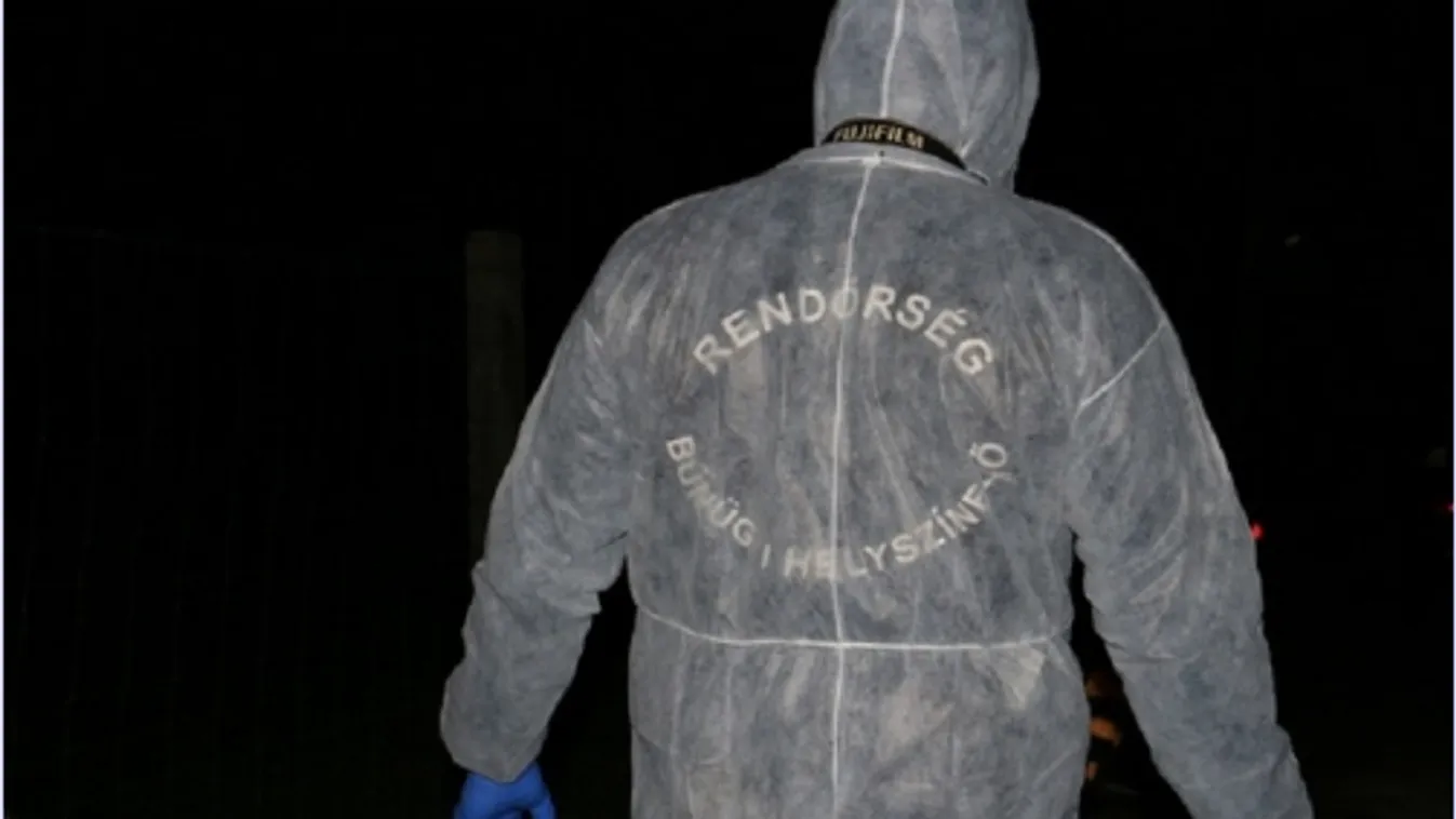 Gyilkosság Balatonföldváron