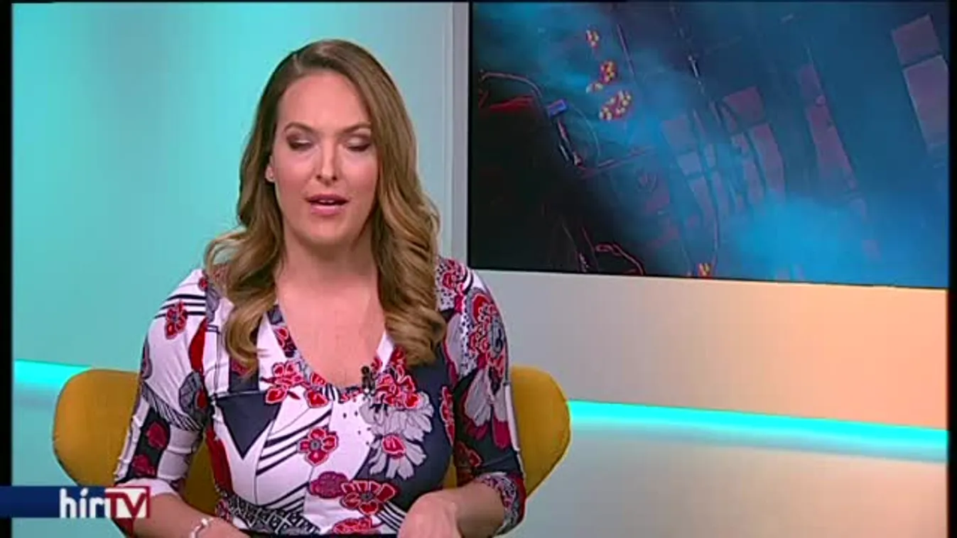 Reggeli járat - Megszámláltatott fák