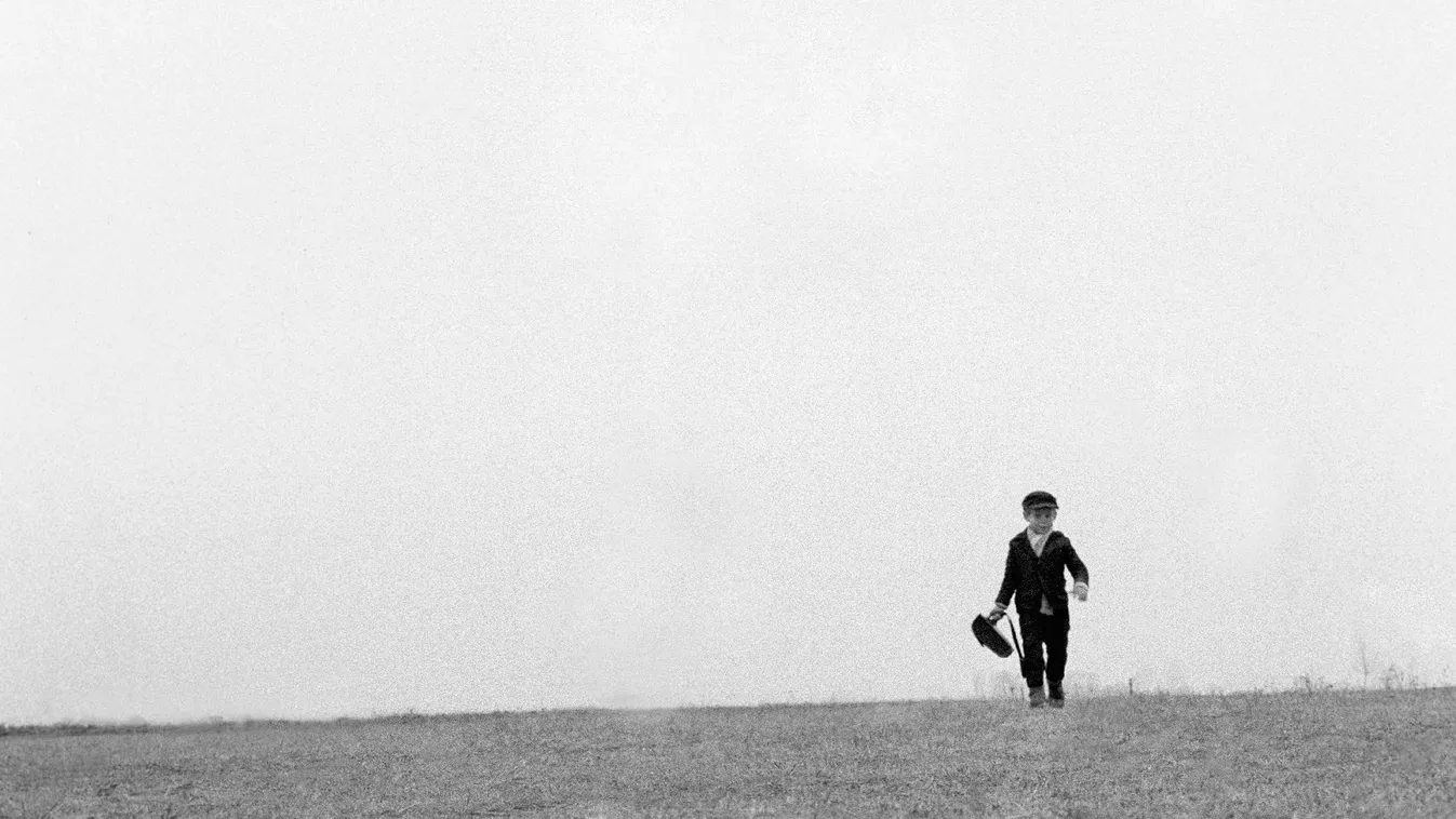 Egy fehér kócsagmadár