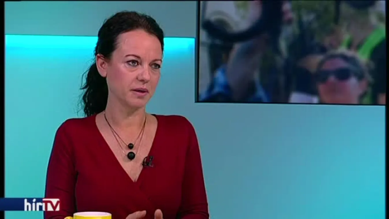 Reggeli járat – Az Alkotmánybírósághoz fordul a Párbeszéd a lex CEU miatt