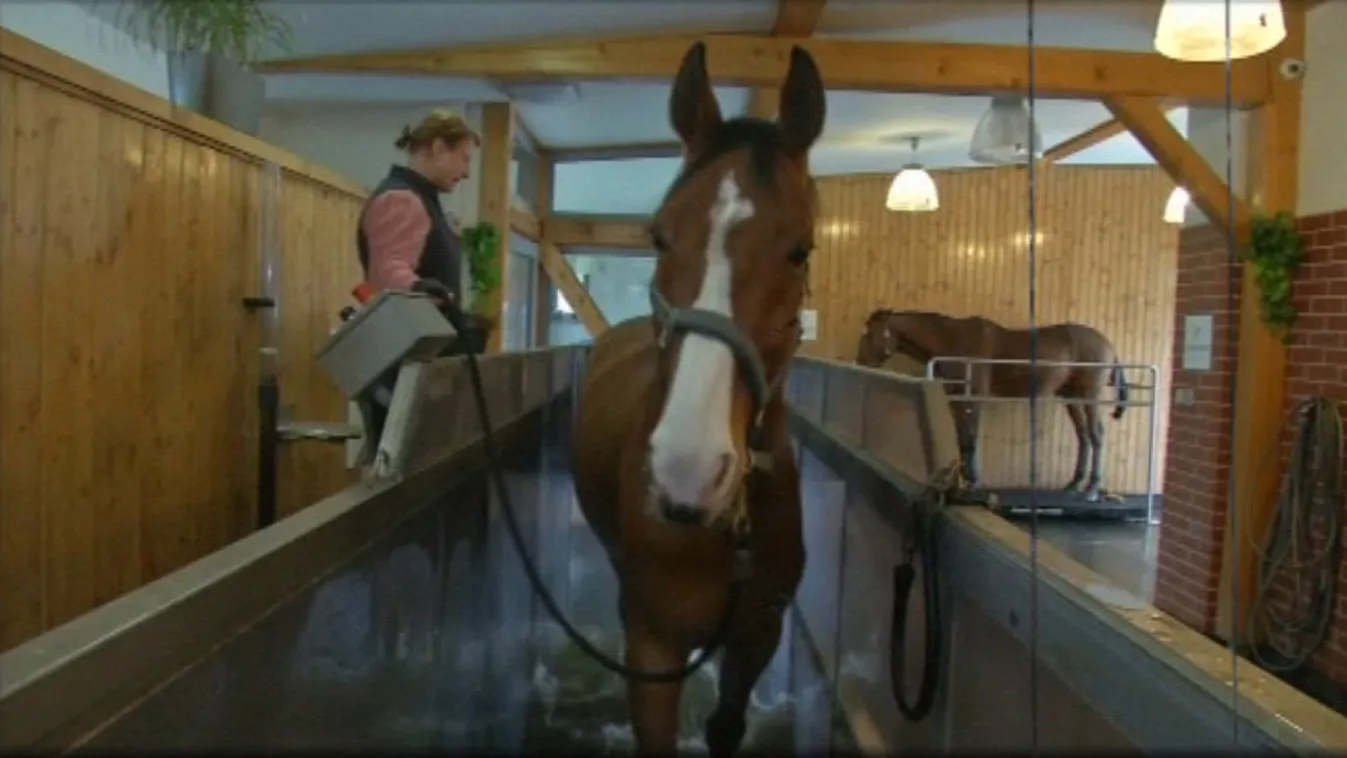 Lólét – Felfedező