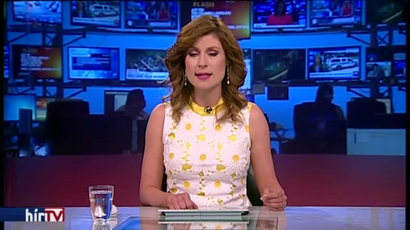 Sokezresre duzzadt a CEU melletti demonstráció