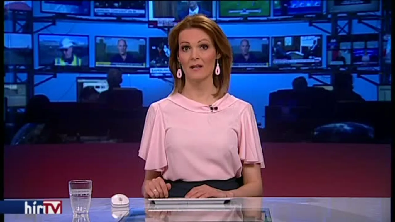 Nem a CEU-t, a jogállamot védi a Jobbik