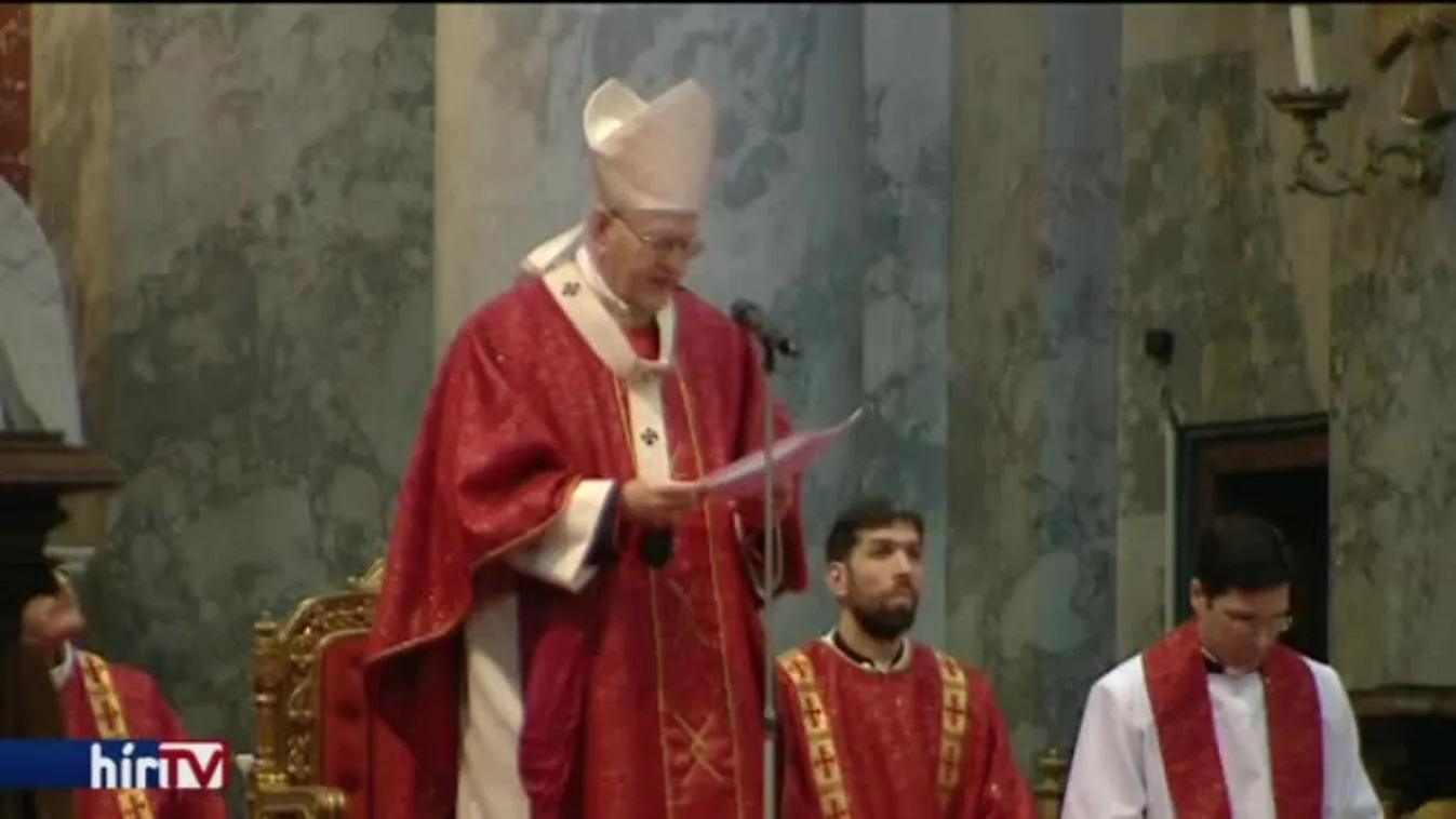 Erdő: Nem mondhatjuk, hogy úgyis lesz, ami lesz