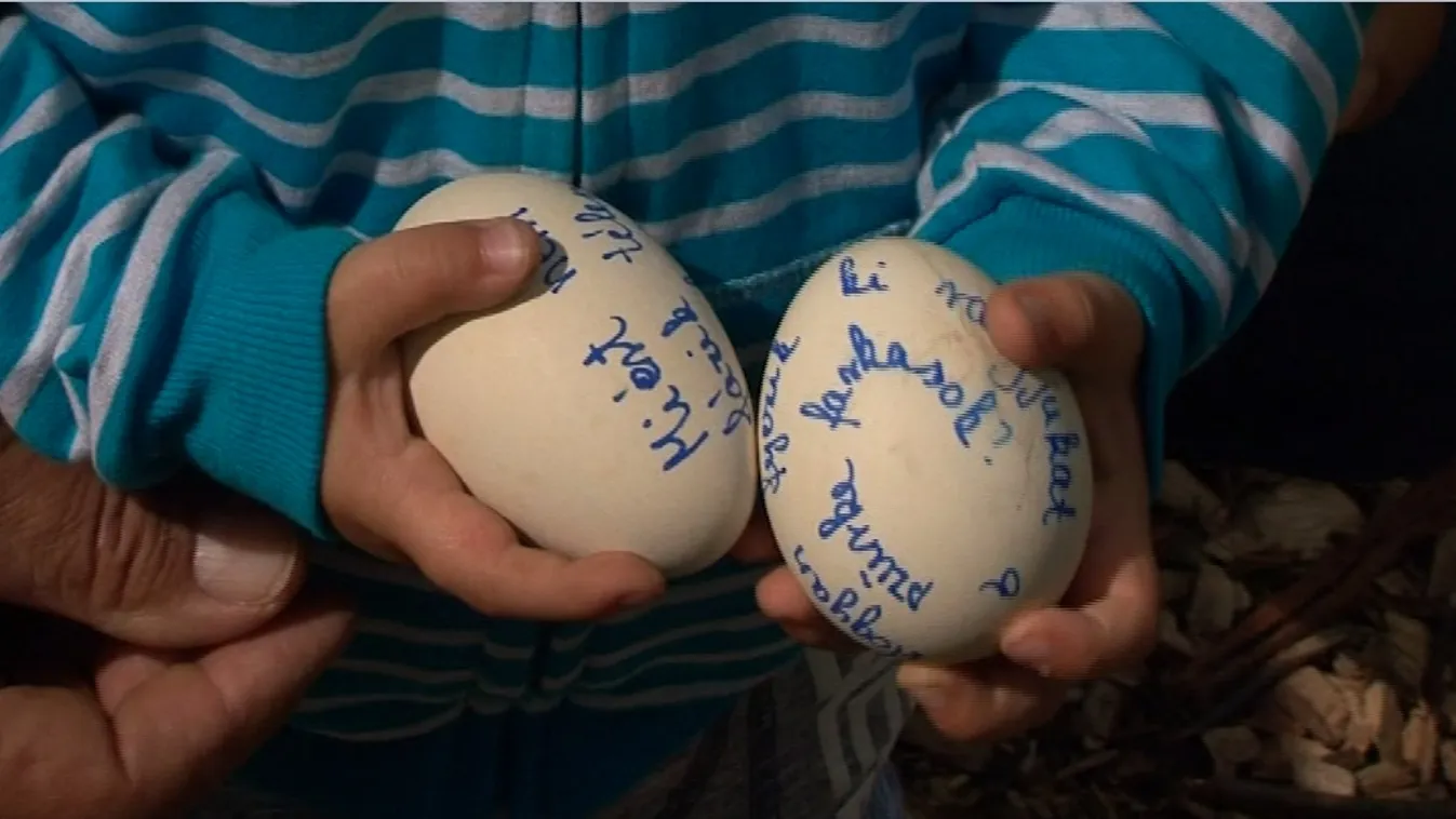 Különleges tojásvadászatra várták a kicsiket