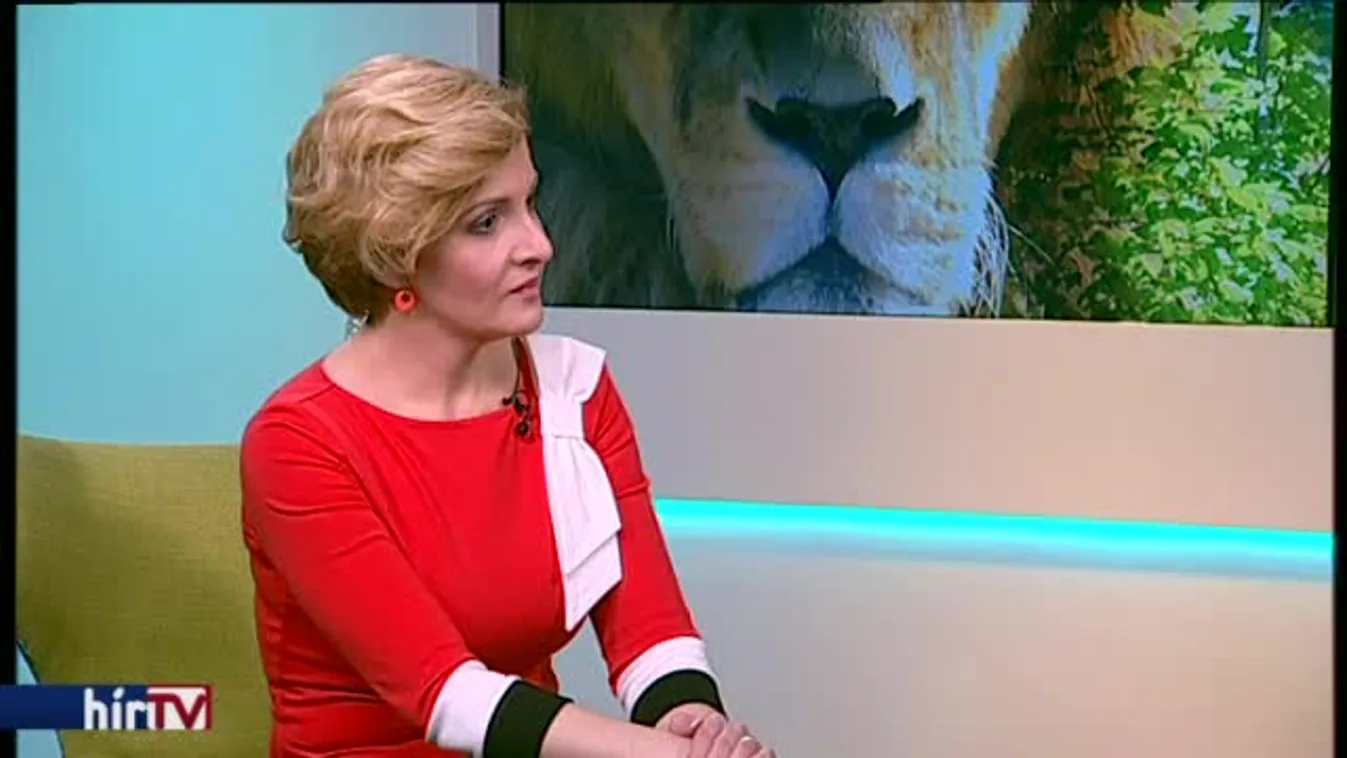 Reggeli járat – Szülői értekezletre készül az Állatkert