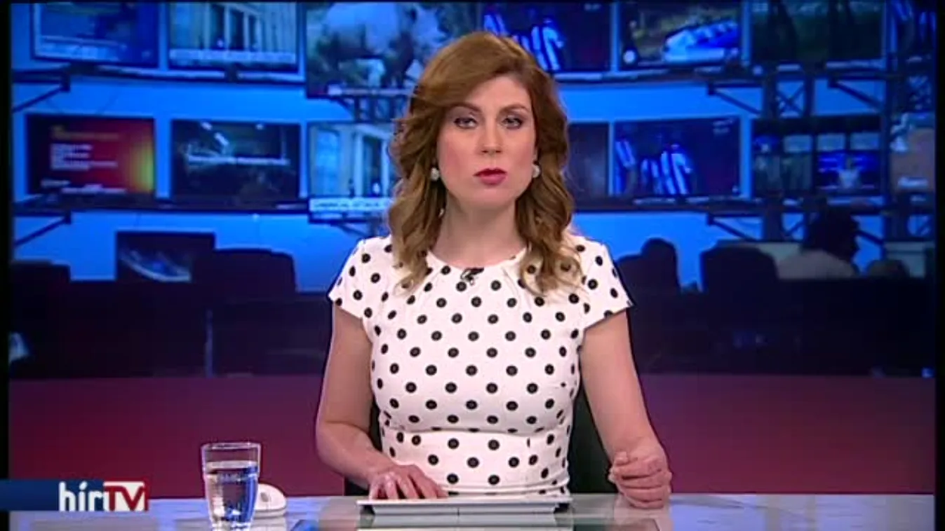 Agyonlőttek egy kormánypárti tüntetőt