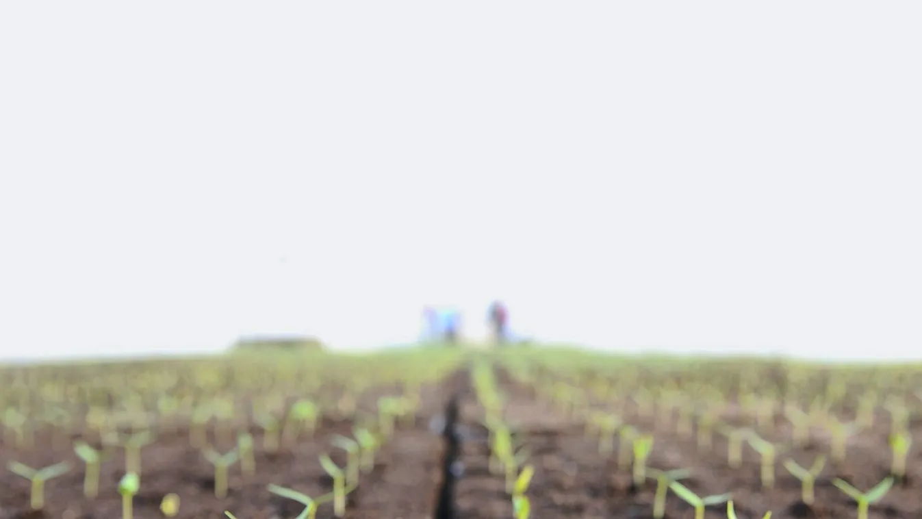 A kifizető szerint rendben megy a támogatás