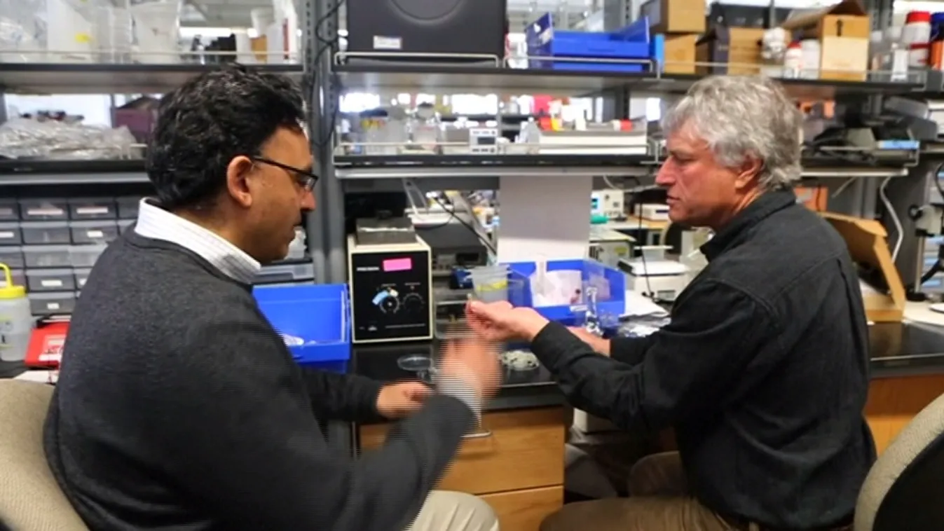 Fájdalom nélkül – Felfedező