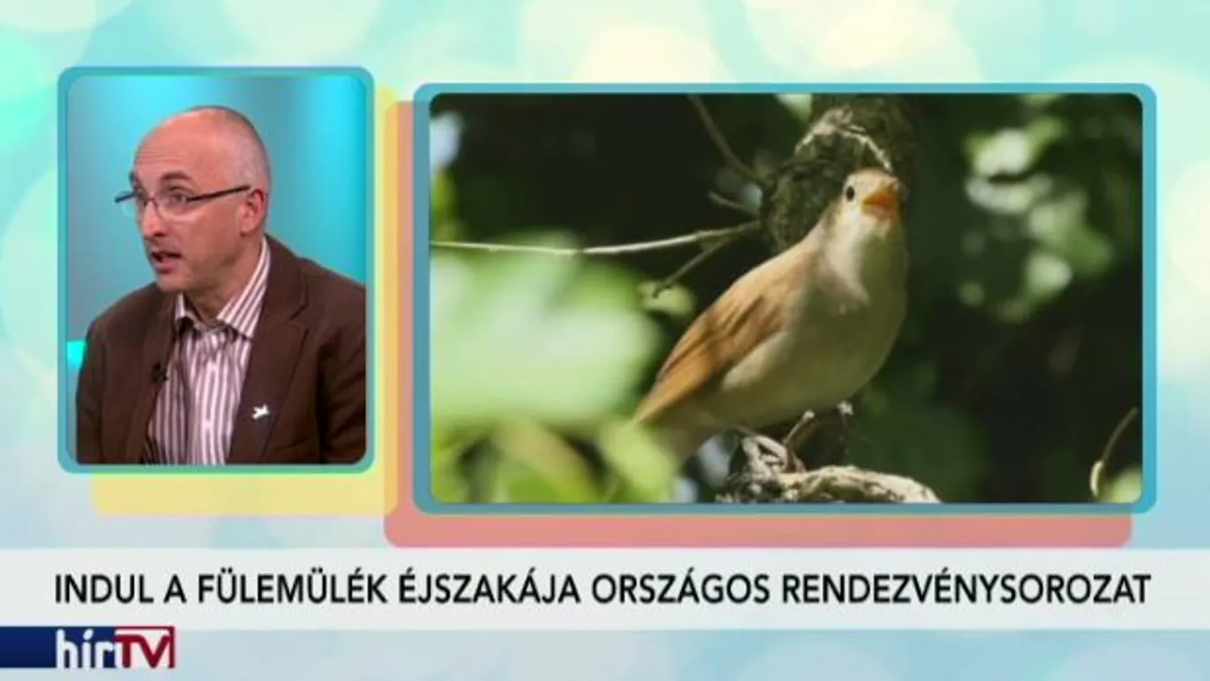 Fülemülék éjszakája